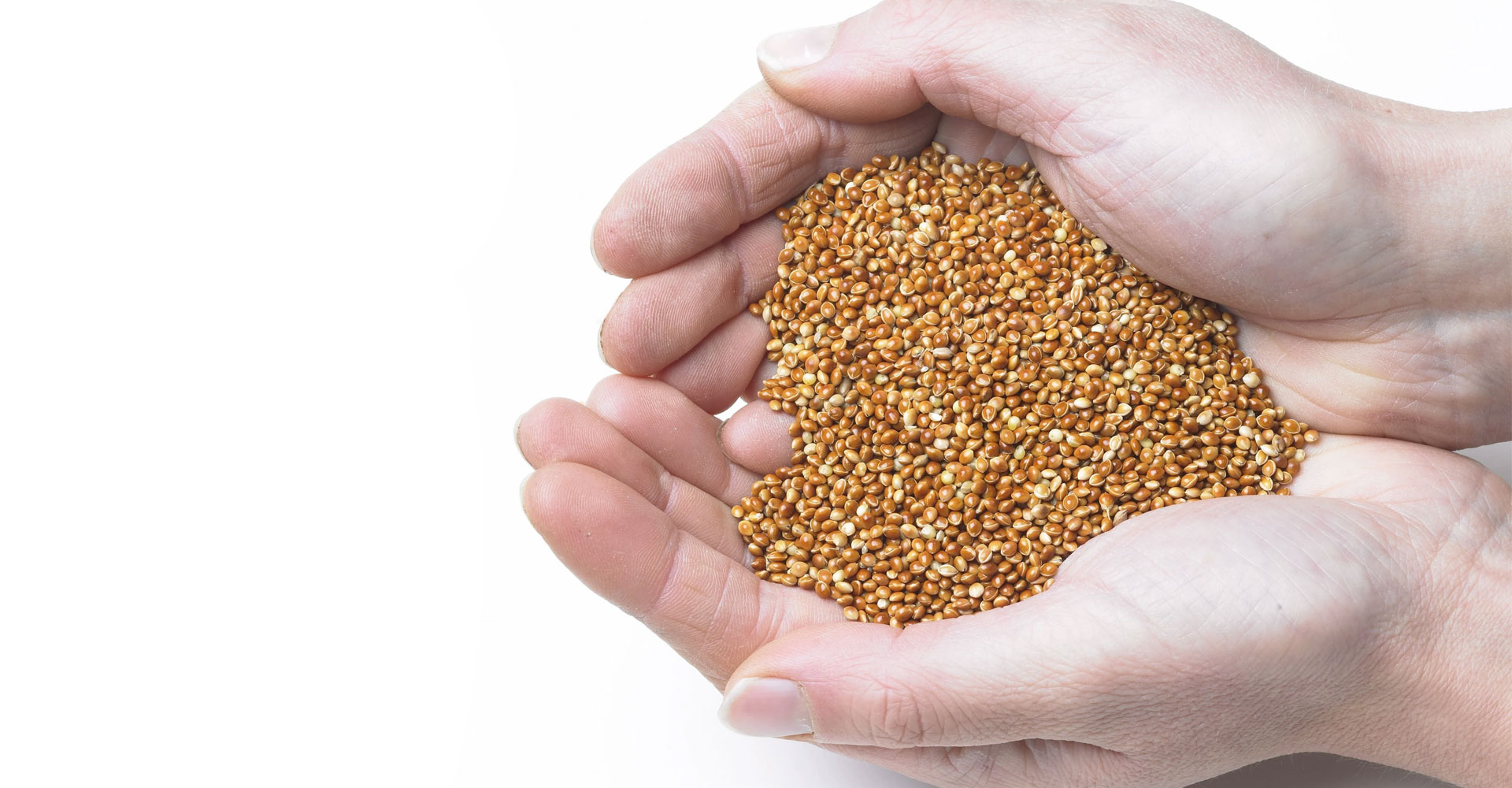 Red Millet Grain